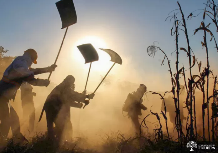 Brigada de incêndio