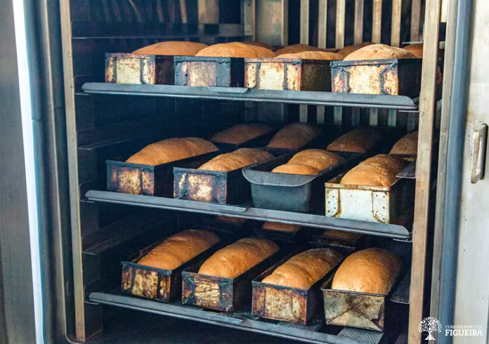 Alimentação