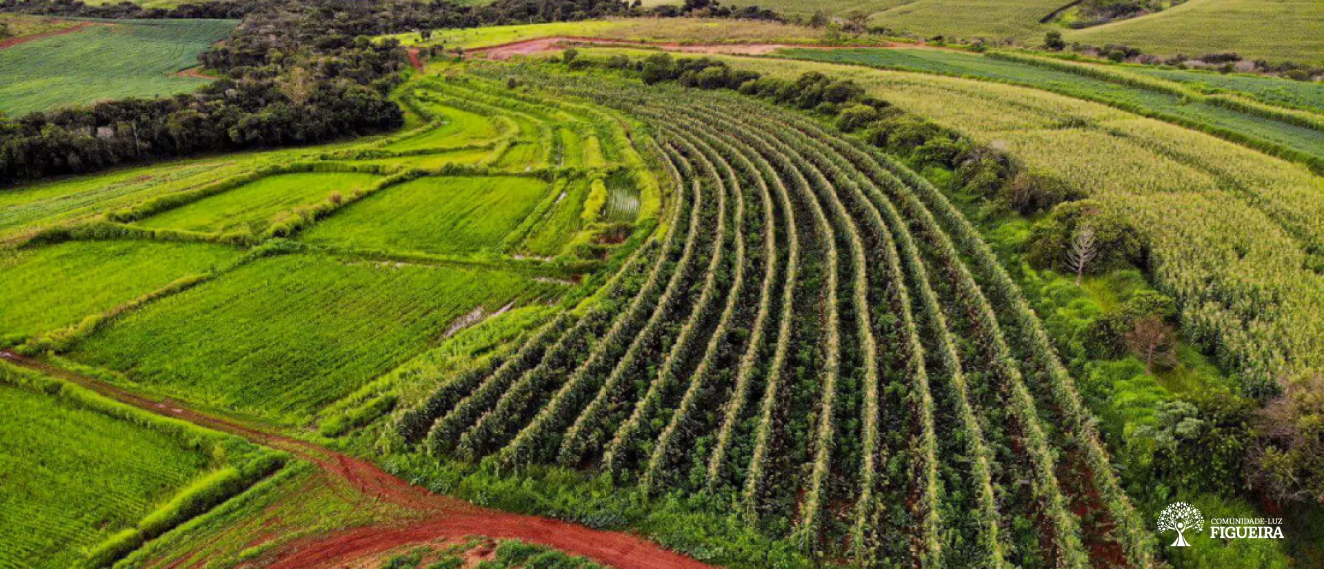 Agricultura sustentável