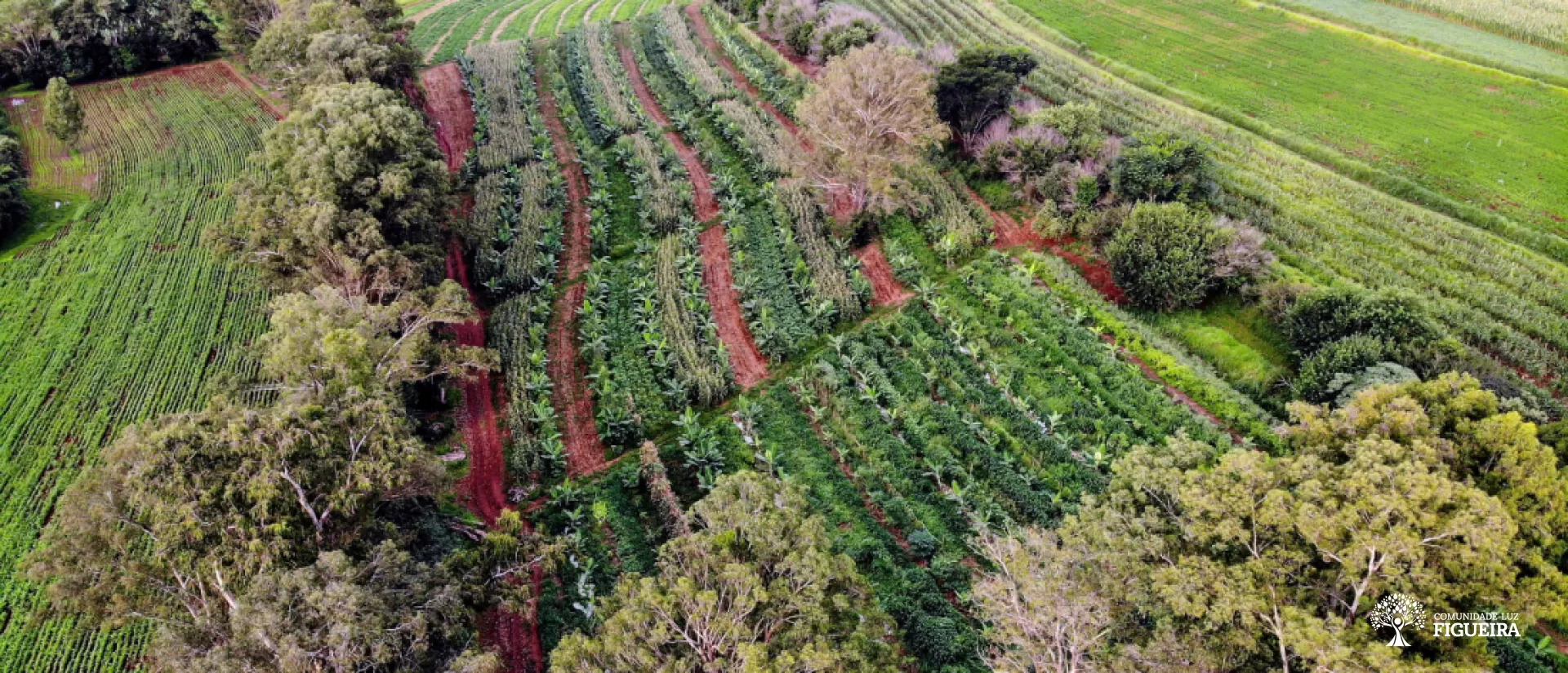 Agricultura sustentável